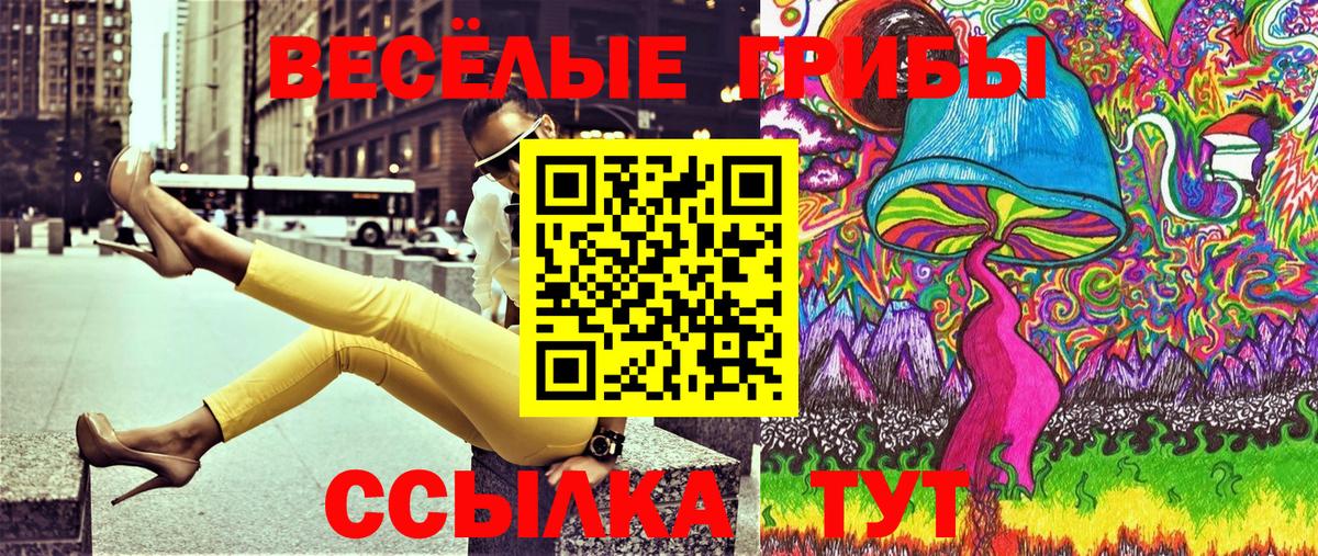 Галлюциногенные грибы Cubensis  Вход с VPN  Галлюциногенные грибы Psilocybe  Кисловодск 